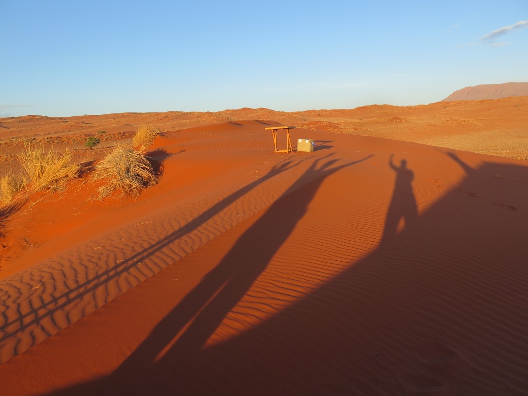 Shadows over red dunes Namibia.